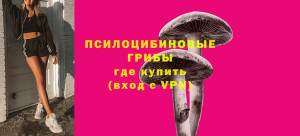 прущая мука Медвежьегорск
