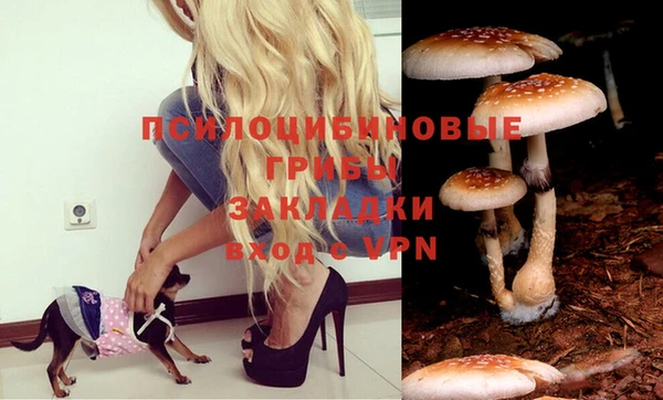 прущая мука Медвежьегорск