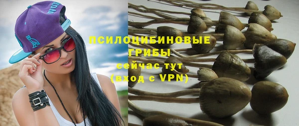 прущая мука Медвежьегорск