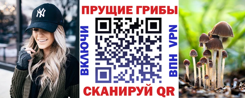 где продают Смоленск Галлюциногенные грибы MAGIC MUSHROOMS